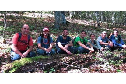 Equipo de investigadores de la Escuela de Agrarias que investiga sobre las heladas tardías en los hayedos.-E. M.