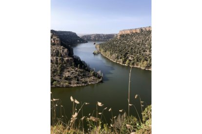 El río Duero vertebra la comunidad de este a oeste, a través de cinco provincias, pero de sus aguas emanan otros afluentes que ofrecen al visitante una experiencia única en torno al patrimonio, la historia y la gastronomía en una apuesta única de turismo de interior.