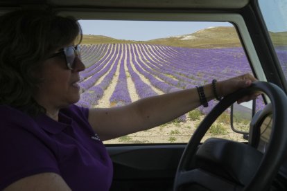 Luz María Ruiz Cuadrado, impulsora del imperio de la lavanda en Tiedra. J. M. LOSTAU