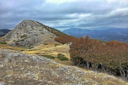 Línea de cumbres de La Celada, con los bosques de Ruesga a sus pies.-N.S.