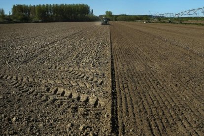 Un trabajador realiza labores agrícolas con su tractor en la localidad salmantina de Encinas de Abajo antes de la siembra.-ENRIQUE CARRASCAL