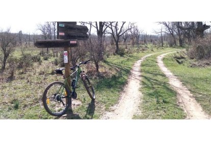 Las cercanías de la Vega de Baturio son una de las zonas más accesibles y mantienen el uso tradicional ganadero de las dehesas, ahora transitables en bicicleta .-TOÑO CARRILLO