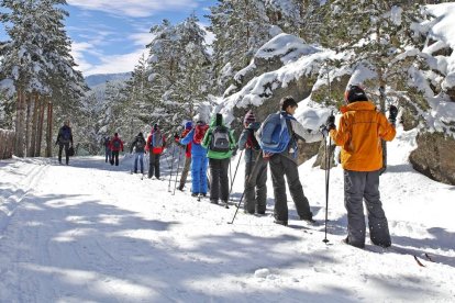 -ÁREA INVERNAL DE NAVAFRÍA (SEGOVIA)