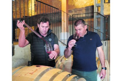 Los hermanos Aragón adquirieron siete bodegas y cinco lagares, la mayoría en ruinas y abandonados. En convencer a los 72 propietarios, casi todos herederos y muchos lejanos, tardaron la friolera de diez años. Hoy degustan el fruto de su empeño. / L.V.