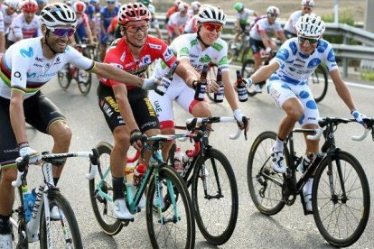 Valverde, Roglic, Pogacar y Bouchard, ganador de la montaña, brindan en la última etapa con la cerveza patrocinadora de la carrera.-EFE / JAVIER LIZON