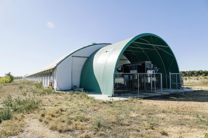 El prototipo de la granja de gallinas ponedoras La Cañada Real en Aldealafuente. REPORTAJE GRÁFICO: EL MUNDO