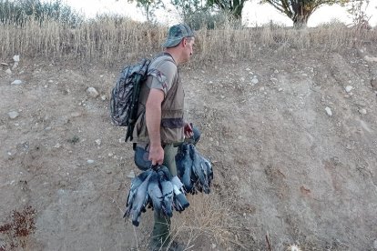 Un cazador de palomas. / LDF