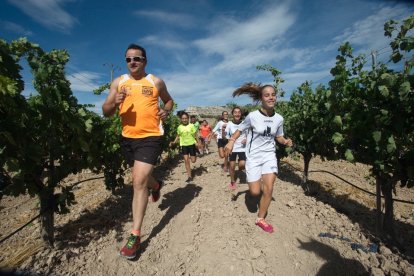 Una imagen de una de las carreras del circuito 'Corriendo entre viñas' / M. G. EGEA