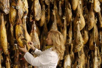 Remedios Sánchez, analiza los aromas que desprende una de sus piezas con una cala de jamón.-EL MUNDO