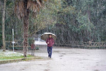 El Campo Grande de Valladolid, cerrado por la nevada. - ICAL