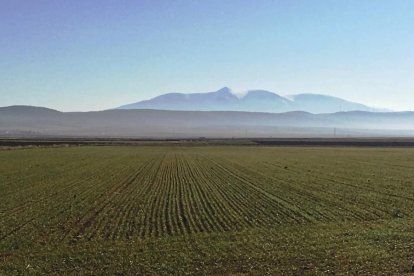 Vista de la impresionante cumbre del Moncayo desde tierras sorianas.-N. S.