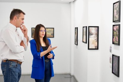 La vicepresidenta segunda de la Diputación de Valladolid, Gema Gómez, junto a Pablo Giménez Montes, inauguran en la Sala de Exposiciones del Teatro Zorrilla, la exposición 'Plantas de Luz'. Ical