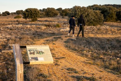 Una pareja recorre la ruta de los campamentos romanos de Renieblas esta semana, entre los restos de los muros y los paneles explicativos sobre estas instalaciones milenarias.  / MARIO TEJEDO