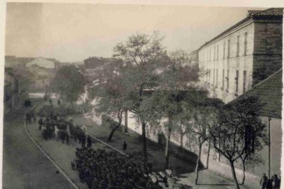 Un rebaño de ovejas por la Calle de Don Sancho