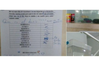 La nota que dejó la dueña de Pesesín y la pecera.-TWITTER