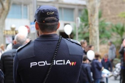 Detenidos en Las Navas del Marqués (Ávila) y Aranda de Duero (Burgos) seis integrantes de una trama de tráfico de hachís-E.M