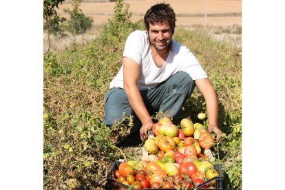 Eduardo Perote junto a unas cajas de tomates recién cortados en Piñel de Abajo, Valladolid.-MAR TORRES