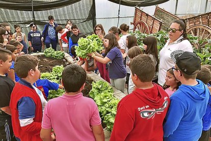 Alumnos en el taller de la huerta ecológica en el programa de educación medioambiental de Matallana.-E.M.