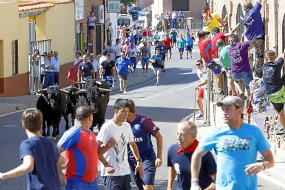 El primer encierro urbano de ayer en la calle La Real de Serrada.-J.M. LOSTAU