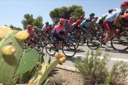 El pelotón, durante la quinta etapa de la Vuelta.-EFE / JAVIER LIZON