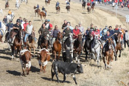 Encierro tradicional de Olmedo. -J.M. LOSTAU