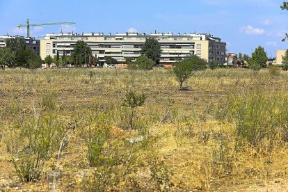 Terrenos que serán urbanizados próximos a la Ronda Exterior, con las últimas construcciones de El Peral al fondo.-J.M. LOSTAU