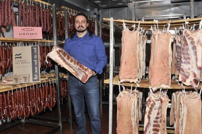 Darío Lara sostiene una de las pancetas en proceso de curación entre embutidos de la renovada Uxama y la futura marca Tierras del Burgo.-VALENTÍN GUISANDE