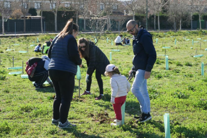 PLANTACIÓN DE 5000 ÁRBOLES EN EL BOSQUE URBANO DE LA URBANIZACIÓN SANTA ANA. J.M. LOSTAU