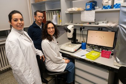 Javier Álvarez Martín con dos compañeras en las instalaciones del IBGM de Valladolid. -PHOTOGENIC