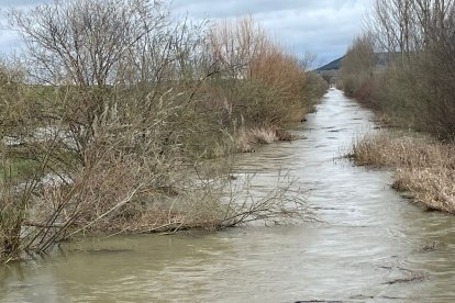 Desborde del Esgueva en Villanueva de los Infantes - AYUNTAMIENTO DE VILLANUEVA DE LOS INFANTES