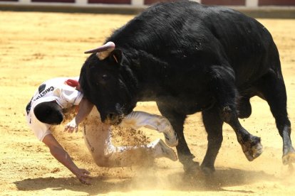 Concurso de cortes, quiebros y saltos en el coso de Zorrilla