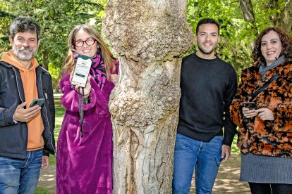 Javier Frades, Mayka Martínez, Diego  Rello y Beatriz Díez, técnicos de Cesefor y del Ayuntamiento que trabajan en el proyecto Brera .  SERGIO DE MIGUEL