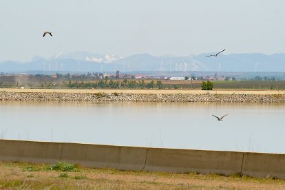 Embalse de Villalón, de 117 hectáreas.