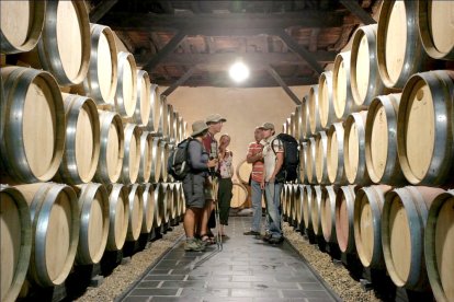 Visita guiada en una bodega de la DO Bierzo, en León. ICAL