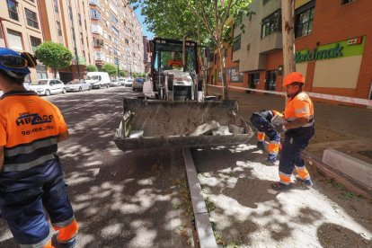 Obras para el nuevo carril bici en el paseo Juan Carlos I.