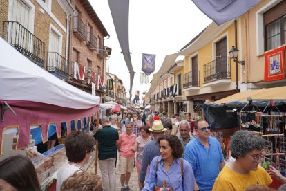 Mercado Comarcal de Villalón de Campos