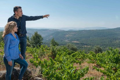 La Ruta del Vino Sierra de Francia está situada al sur de la provincia de Salamanca