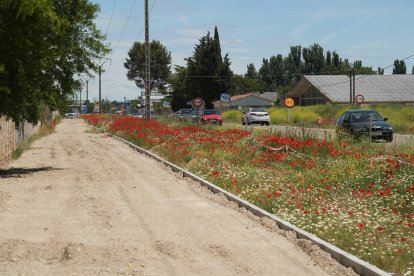 Obras del carril bici en el Camino Viejo de Simancas.