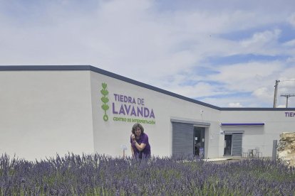 Campos de lavanda ubicados junto a la empresa 