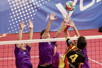 CESA. Campeonato de España por Federaciones de voleibol en Valladolid.