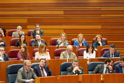 Bancada del PP y algunos miembros del gobierno autonómico durante un pleno de las Cortes.