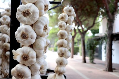 Ristras de ajo en el expositor de una feria tradicional del cultivo.