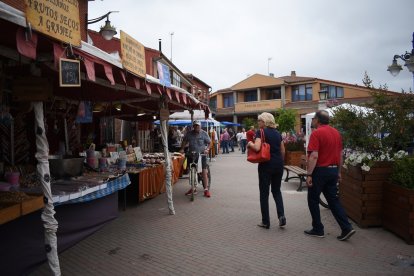 Imagen de la pasada edición del mercado artesano de Viana de Cega.