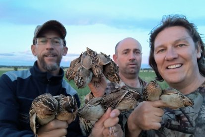 Miembros del Proyecto Coturnix anillando codornices esta primavera en León.