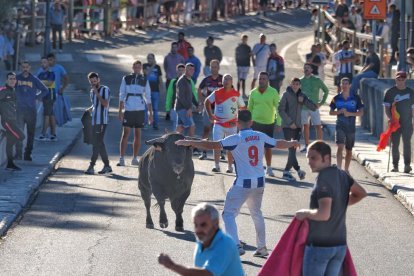 Segundo encierro de Tudela de Duero este viernes.