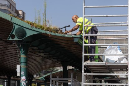 Inicio de las obras de reparación de la marquesina