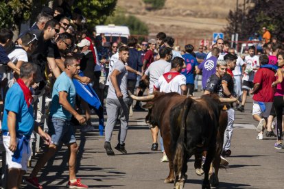 Cuarto encierro urbano en Laguna de Duero