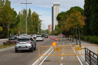 Corte de un carril en la Avenida de Salamanca por las obras de la red de calor