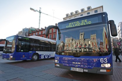 Autobuses de Auvasa en la Plaza Mayor de Valladolid.