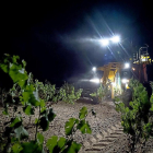 Una máquina cosechadora trabaja en la vendimia nocturna que caracteriza a la DO Rueda.-MIGUEL ÁNGEL SANTOS